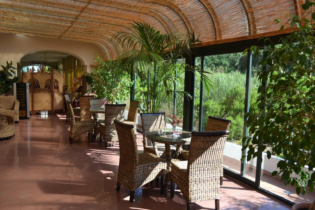 Hotel Maremonti Forio di Ischia Zewnętrze zdjęcie
